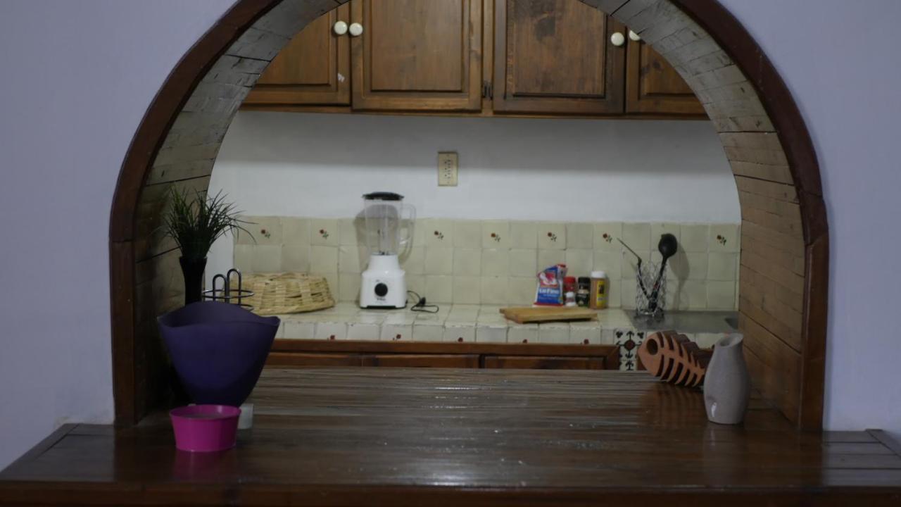 Loft Familial Cosy Lejlighed Guanajuato Eksteriør billede